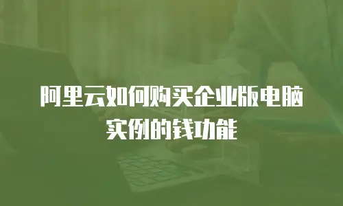 阿里云如何购买企业版电脑实例的钱功能