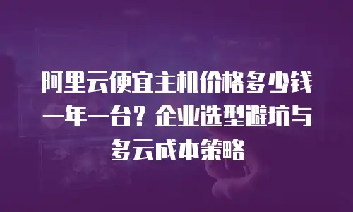 阿里云便宜主机价格多少钱一年一台？企业选型避坑与多云成本策略