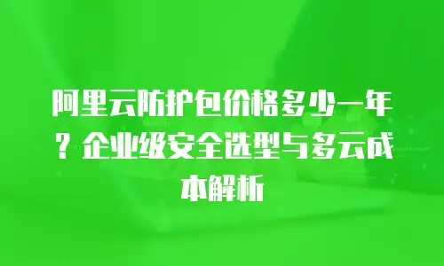 阿里云防护包价格多少一年？企业级安全选型与多云成本解析