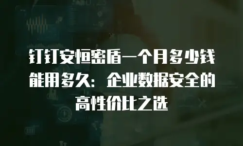 钉钉安恒密盾一个月多少钱能用多久：企业数据安全的高性价比之选