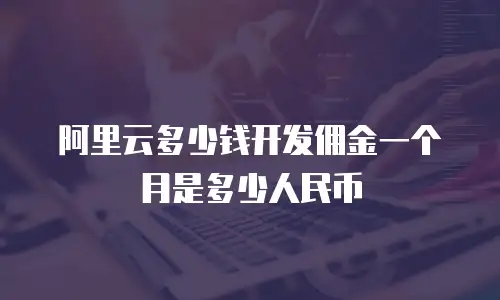 阿里云多少钱开发佣金一个月是多少人民币