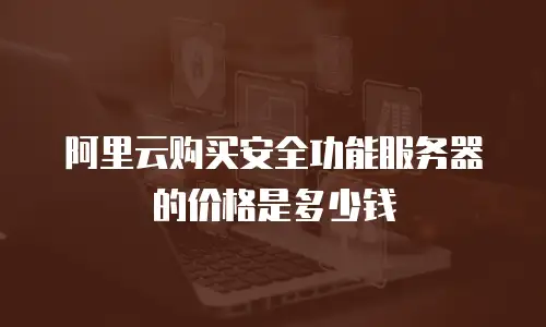 阿里云购买安全功能服务器的价格是多少钱