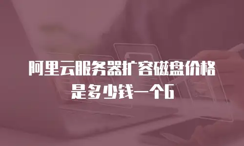 阿里云服务器扩容磁盘价格是多少钱一个G