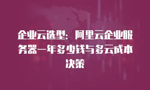 企业云选型：阿里云企业服务器一年多少钱与多云成本决策