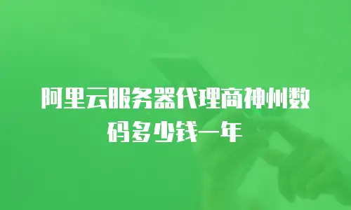阿里云服务器代理商神州数码多少钱一年