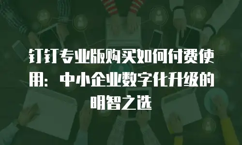 钉钉专业版购买如何付费使用：中小企业数字化升级的明智之选