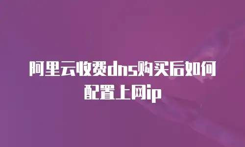 阿里云收费dns购买后如何配置上网ip