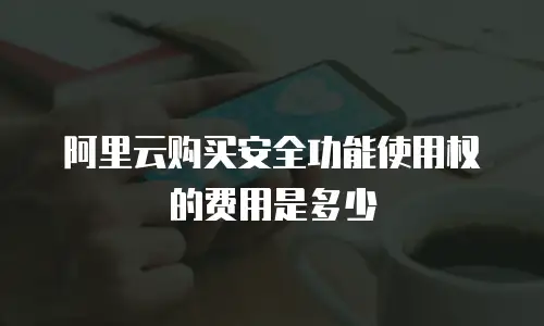 阿里云购买安全功能使用权的费用是多少