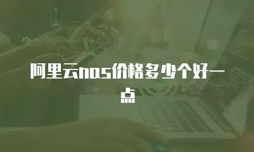 阿里云nas价格多少个好一点