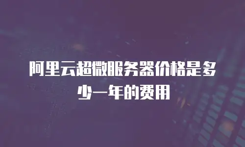 阿里云超微服务器价格是多少一年的费用