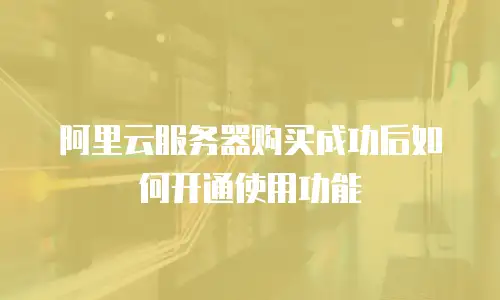 阿里云服务器购买成功后如何开通使用功能