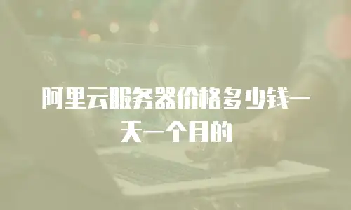 阿里云服务器价格多少钱一天一个月的