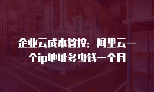 企业云成本管控：阿里云一个ip地址多少钱一个月