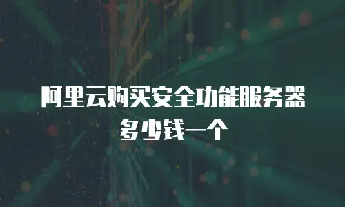 阿里云购买安全功能服务器多少钱一个