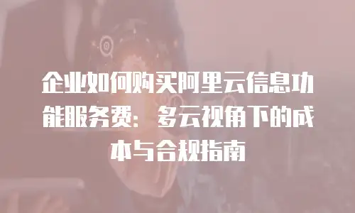 企业如何购买阿里云信息功能服务费：多云视角下的成本与合规指南