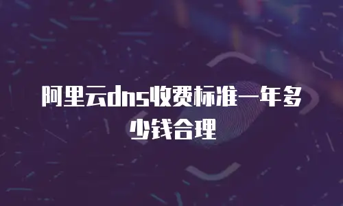 阿里云dns收费标准一年多少钱合理