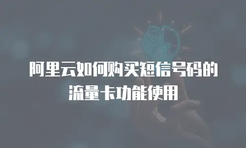 阿里云如何购买短信号码的流量卡功能使用