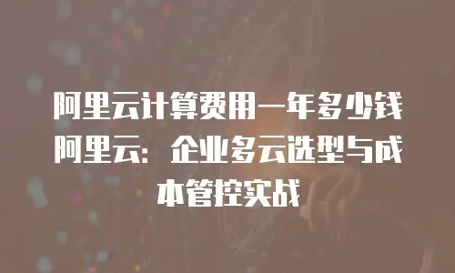 阿里云计算费用一年多少钱阿里云：企业多云选型与成本管控实战