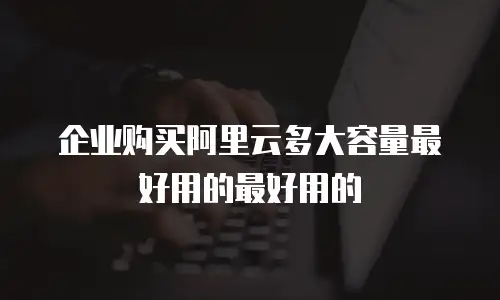 企业购买阿里云多大容量最好用的最好用的