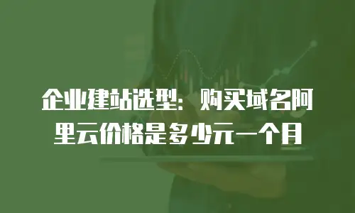 企业建站选型：购买域名阿里云价格是多少元一个月