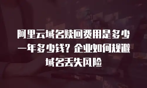 阿里云域名赎回费用是多少一年多少钱？企业如何规避域名丢失风险