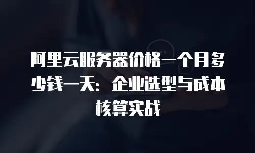 阿里云服务器价格一个月多少钱一天：企业选型与成本核算实战