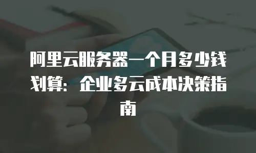 阿里云服务器一个月多少钱划算：企业多云成本决策指南