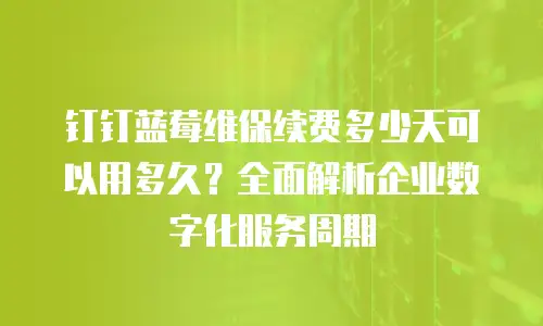 钉钉蓝莓维保续费多少天可以用多久？全面解析企业数字化服务周期