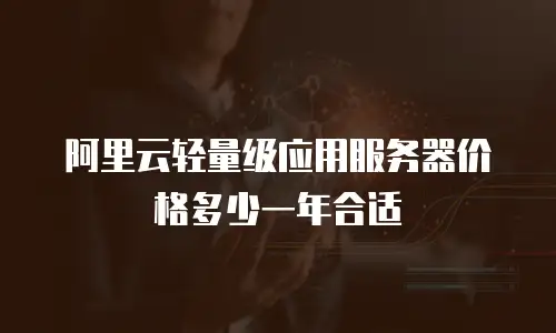 阿里云轻量级应用服务器价格多少一年合适