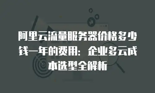 阿里云流量服务器价格多少钱一年的费用：企业多云成本选型全解析