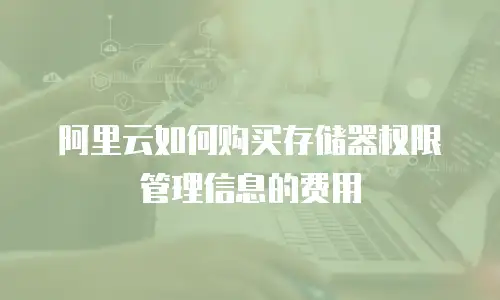 阿里云如何购买存储器权限管理信息的费用
