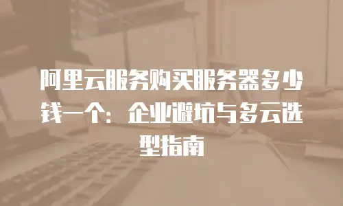 阿里云服务购买服务器多少钱一个：企业避坑与多云选型指南