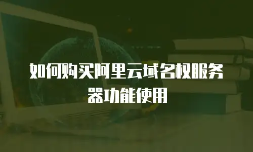 如何购买阿里云域名权服务器功能使用