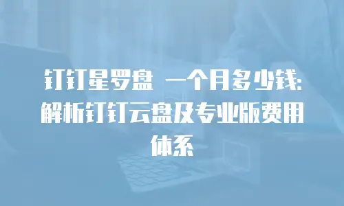 钉钉星罗盘 一个月多少钱：解析钉钉云盘及专业版费用体系