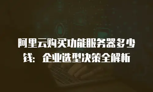 阿里云购买功能服务器多少钱：企业选型决策全解析