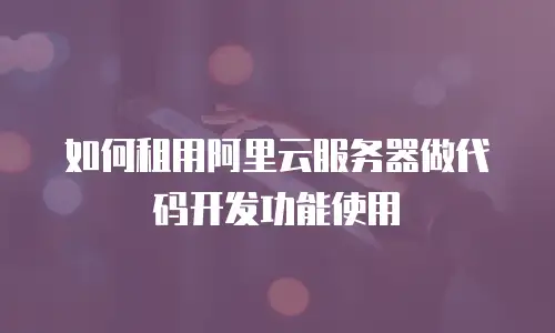 如何租用阿里云服务器做代码开发功能使用