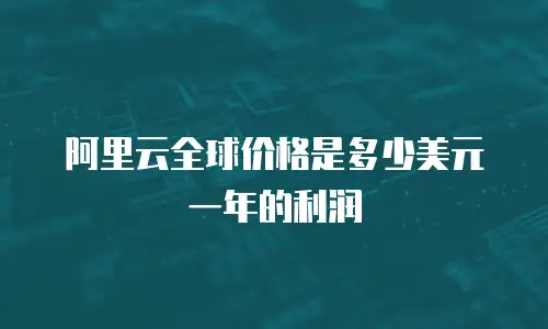 阿里云全球价格是多少美元一年的利润