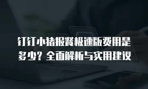 钉钉小猪报餐极速版费用是多少？全面解析与实用建议