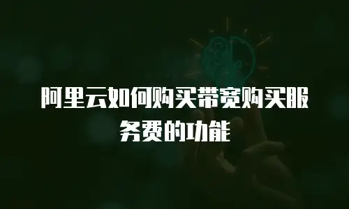 阿里云如何购买带宽购买服务费的功能