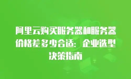 阿里云购买服务器和服务器价格差多少合适：企业选型决策指南