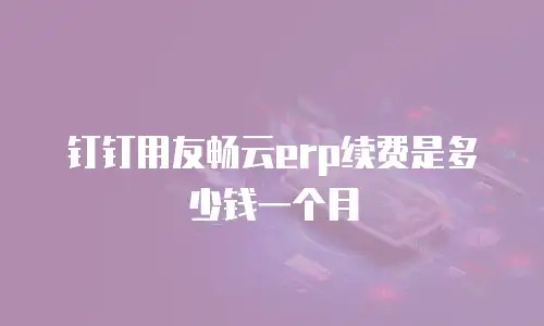 钉钉用友畅云erp续费是多少钱一个月