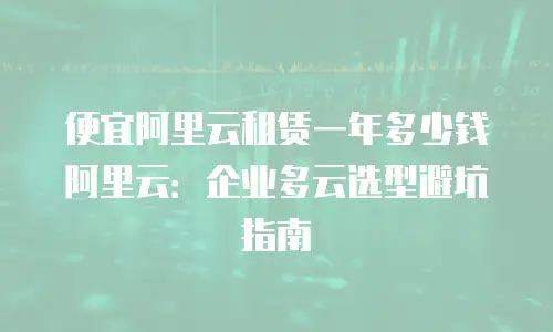 便宜阿里云租赁一年多少钱阿里云：企业多云选型避坑指南