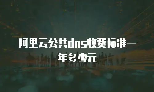 阿里云公共dns收费标准一年多少元