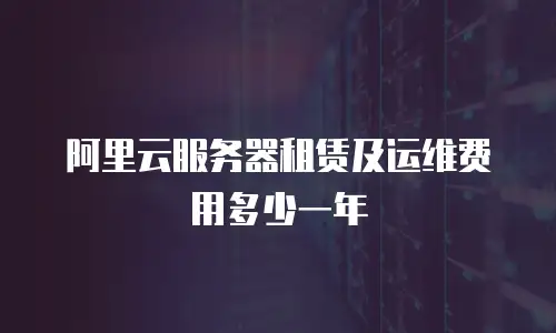 阿里云服务器租赁及运维费用多少一年