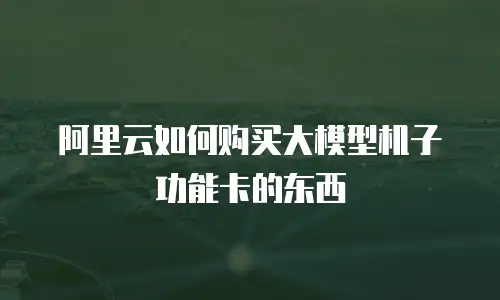 阿里云如何购买大模型机子功能卡的东西