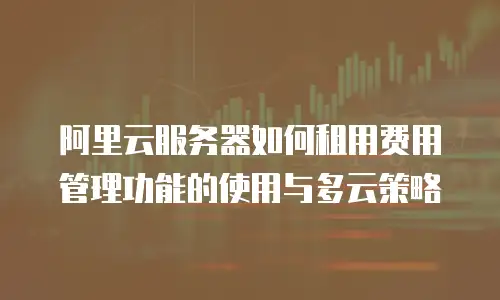 阿里云服务器如何租用费用管理功能的使用与多云策略