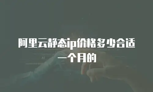 阿里云静态ip价格多少合适一个月的