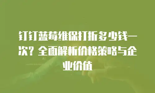 钉钉蓝莓维保打折多少钱一次？全面解析价格策略与企业价值