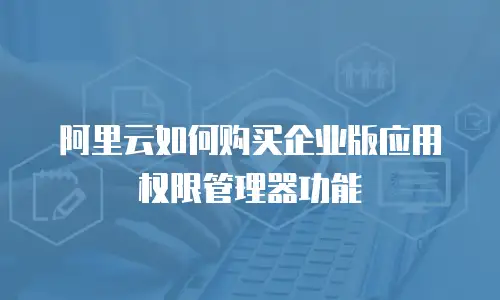 阿里云如何购买企业版应用权限管理器功能