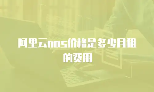 阿里云nas价格是多少月租的费用